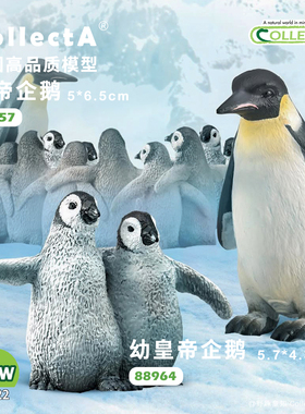 顺丰包邮【88958帝企鹅】CollectA官方授权正版动物模型早教玩具