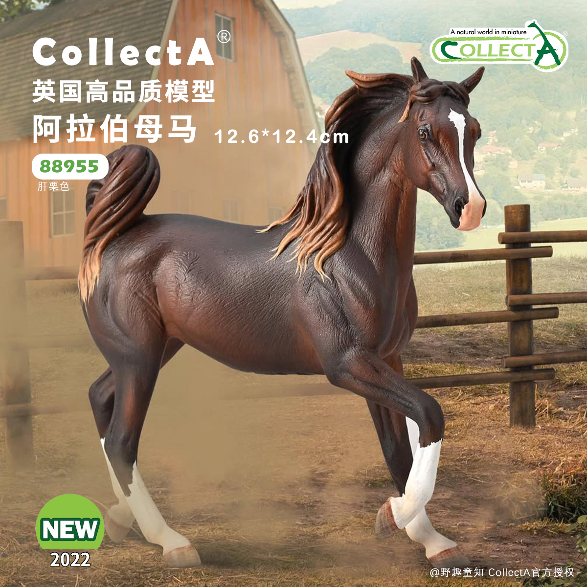 【88955阿拉伯母马- 肝栗色】CollectA仿真动物模型玩具马玩具
