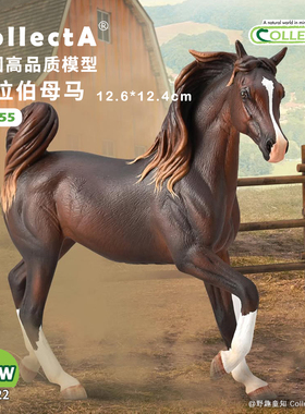 【88955阿拉伯母马- 肝栗色】CollectA仿真动物模型玩具马玩具
