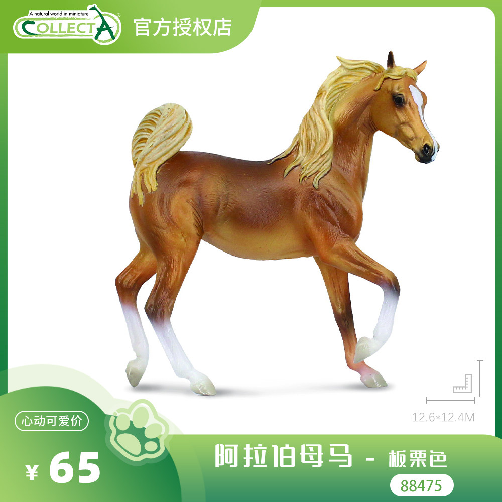 【88475阿拉伯母马 - 板栗色】CollectA官方授权正版动物模型图片