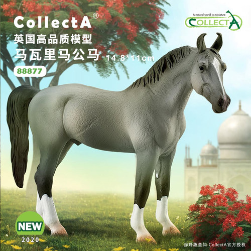 CollectA马瓦里马公马模型玩具