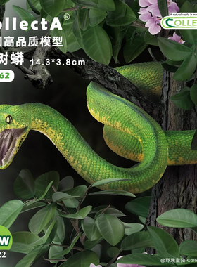 【88962绿树蟒】CollectA官方授权正版动物模型早教玩具