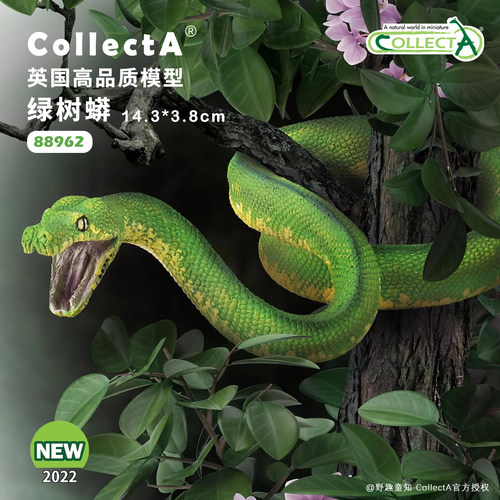 CollectA绿树蟒动物模型玩具