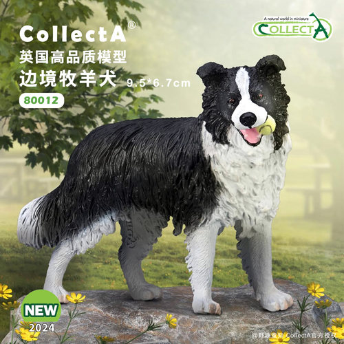 CollectA边境牧羊犬动物模型