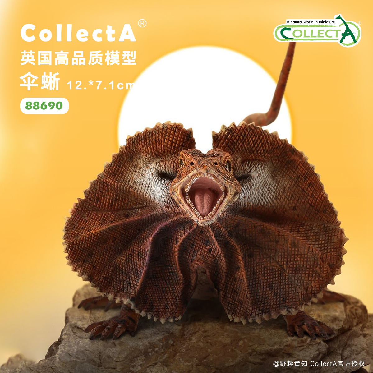 CollectA澳洲伞蜥动物模型玩具