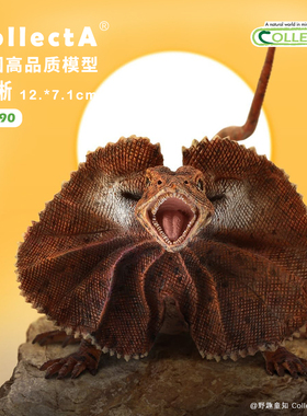 【88690澳洲伞蜥】CollectA官方授权正版动物模型早教玩具