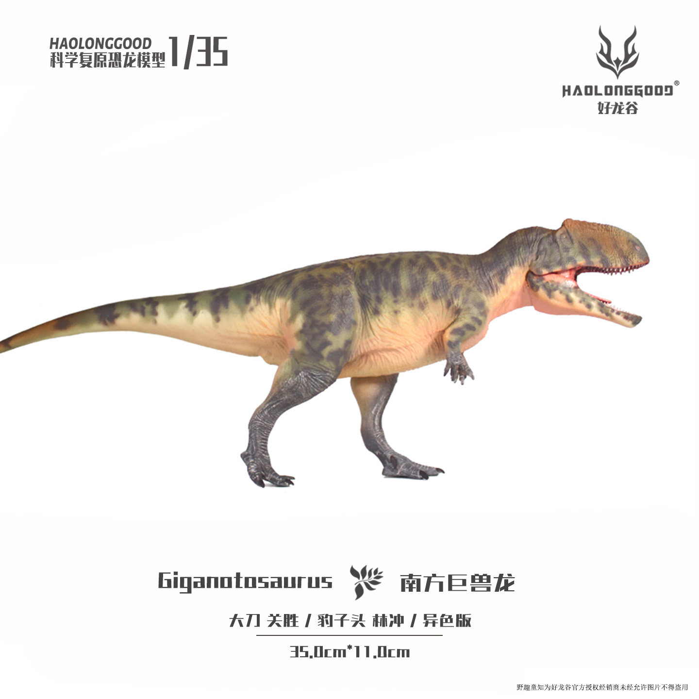 【顺丰包邮】好龙谷 【南方巨兽龙1:35】 恐龙模型玩具手办礼物