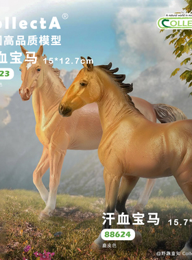 【88623汗血宝马】英国CollectA授权正版动物模型玩具马年手办