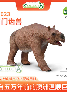 【80023双门齿兽】CollectA仿真动物模型玩具古兽公仔动物收藏