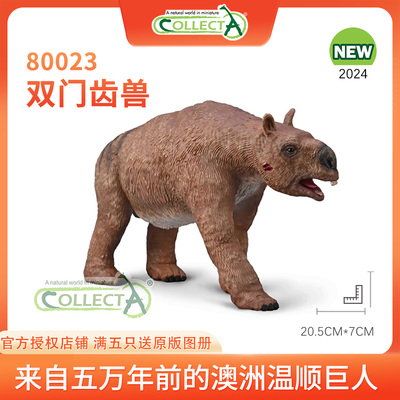【80023双门齿兽】CollectA仿真动物模型玩具古兽公仔动物收藏