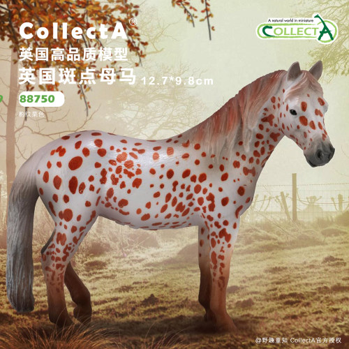 CollectA英国斑点母马动物模型