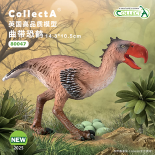 【80047曲带恐鹤】2025CollectA仿真动物模型玩具1:20嘴巴可动