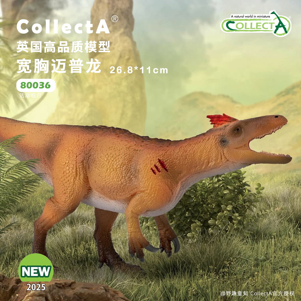 COLLECTA颸戮龙迈普龙动物模型