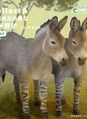 【88664非洲野驴】CollectA官方授权正版动物模型早教玩具