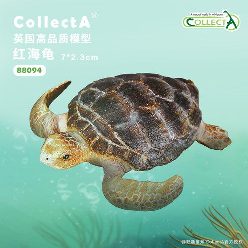CollectA红海龟动物模型玩具