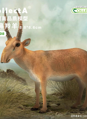 【88808高鼻羚羊】CollectA官方授权正版动物模型早教玩具