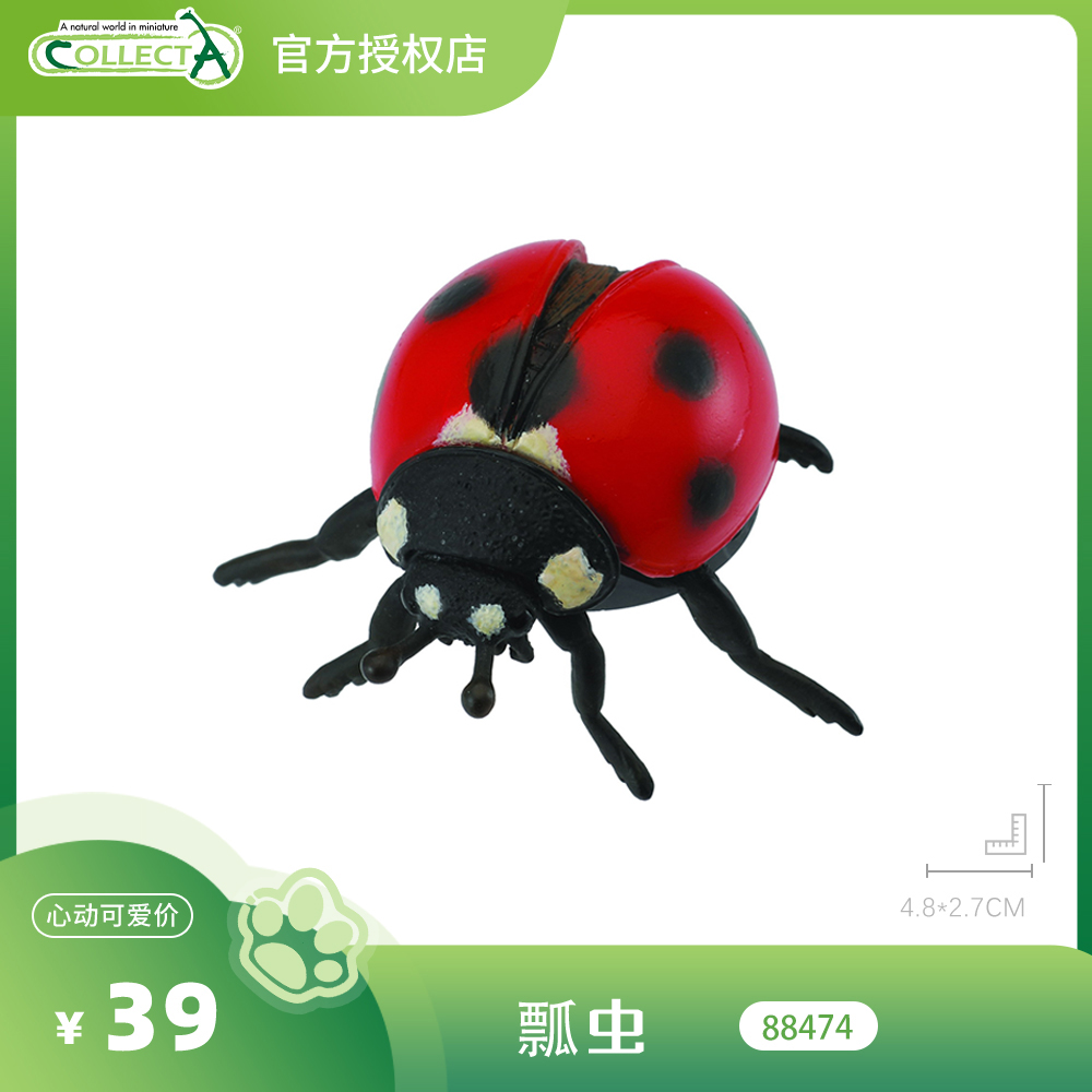 【88474瓢虫】CollectA官方授权正版动物模型早教玩具