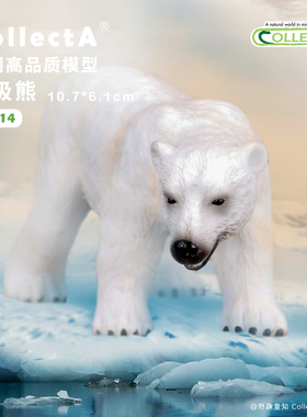 顺丰包邮【88214北极熊】CollectA官方授权正版动物模型早教玩具