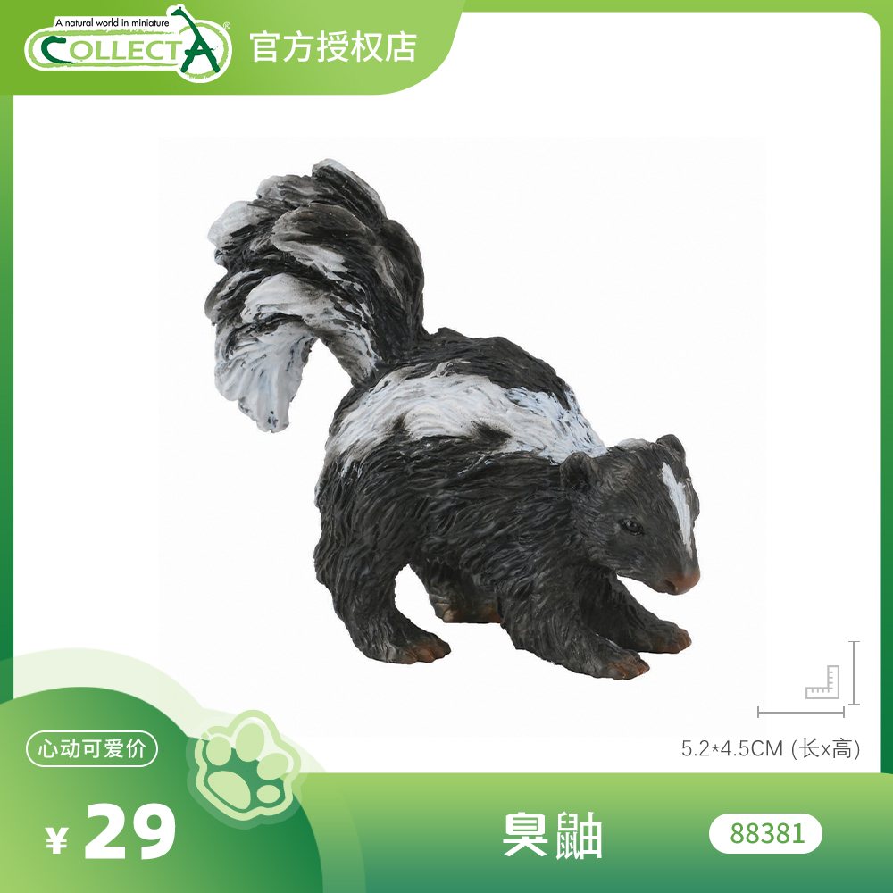 【88381臭鼬】CollectA官方授权正版动物模型早教玩具