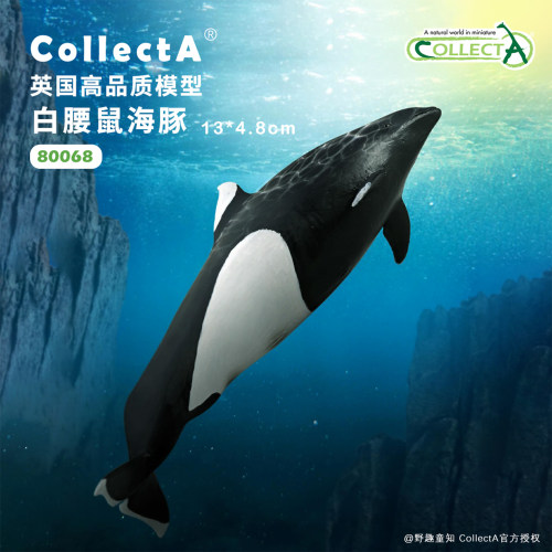 【顺丰包邮】80068白腰鼠海豚COLLECTA我你他英国仿真动物模型