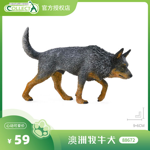 【飞爬翼龙1:3】CollectA官方授权正版动物模型早教玩具
