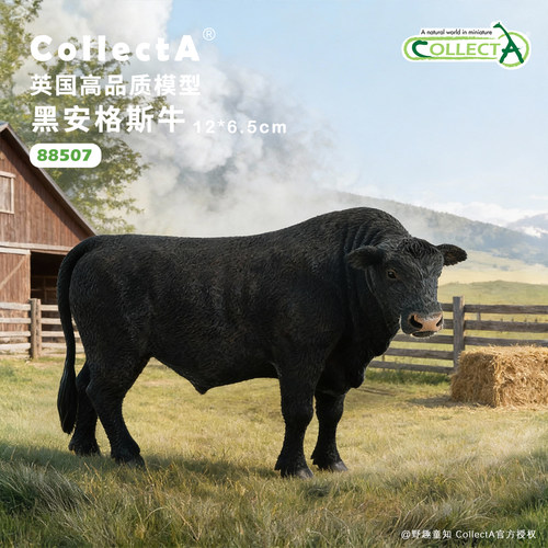 【安格斯牛】CollectA官方授权正版动物模型早教玩具