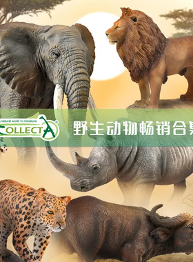【顺丰包邮】【COLLECTA野生动物】我你他狮子大象长颈鹿斑马老虎