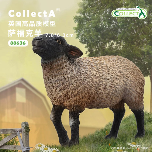 CollectA萨福克羊动物模型玩具