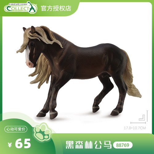 【88769黑森林公马】CollectA官方授权正版动物模型早教玩具