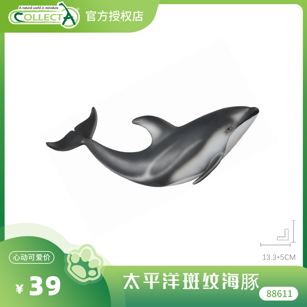 【88612太平洋斑纹海豚】CollectA官方授权正版动物模型早教玩具