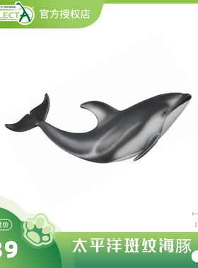 【88612太平洋斑纹海豚】CollectA官方授权正版动物模型早教玩具