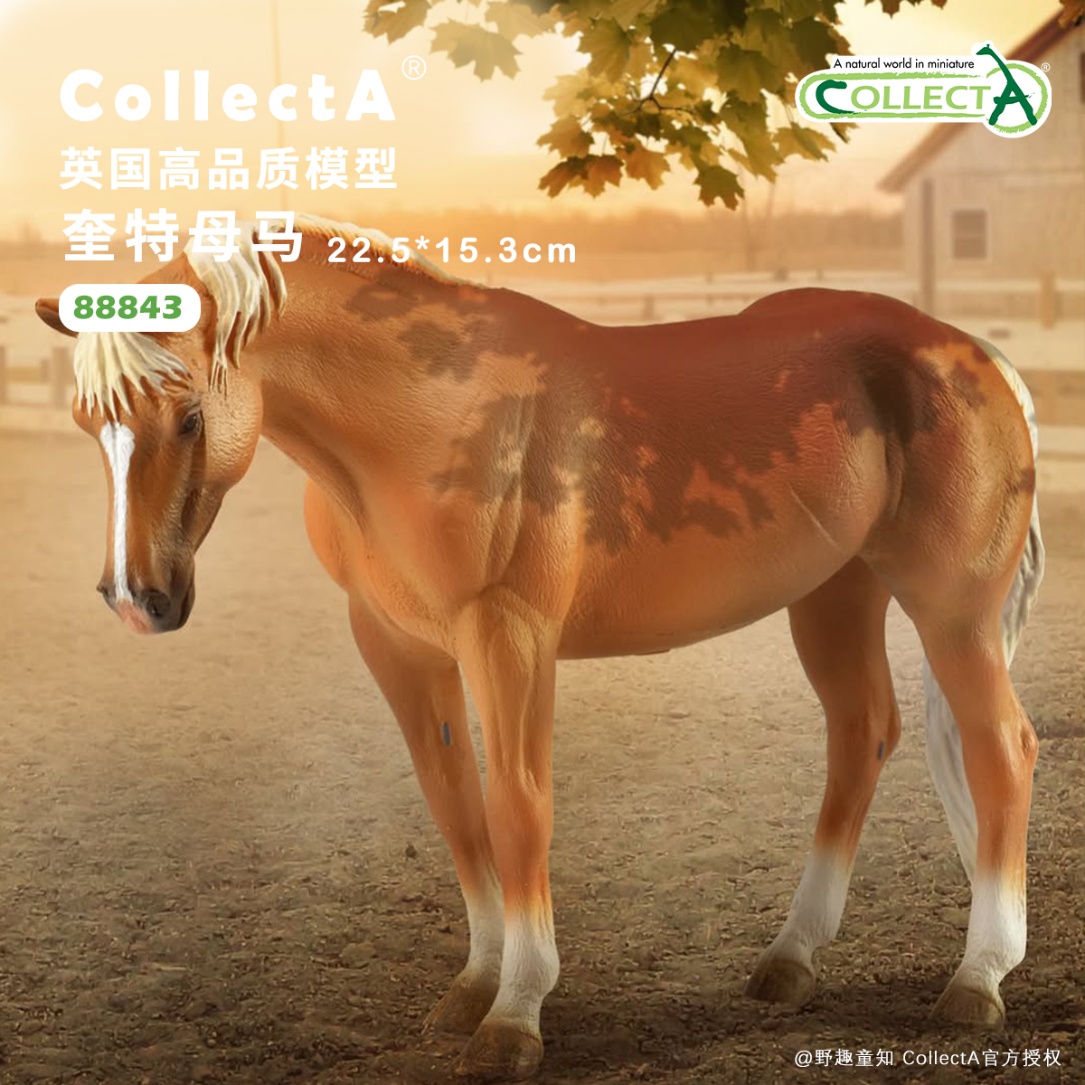 【88843奎特母马 -枣色】英国CollectA仿真动物模型玩具马玩具