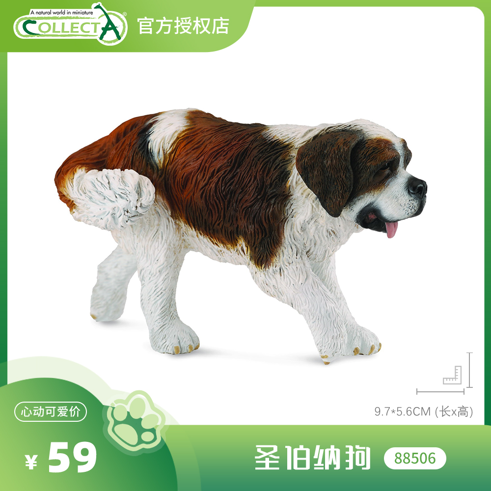 【88506圣伯纳狗】CollectA官方授权正版动物模型早教玩具