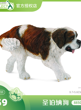 【88506圣伯纳狗】CollectA官方授权正版动物模型早教玩具