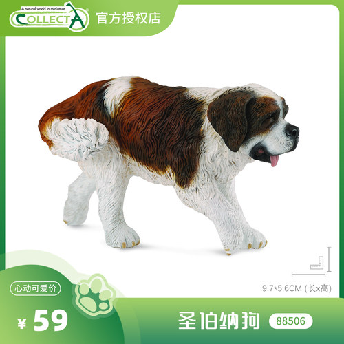 【88506圣伯纳狗】CollectA官方授权正版动物模型早教玩具