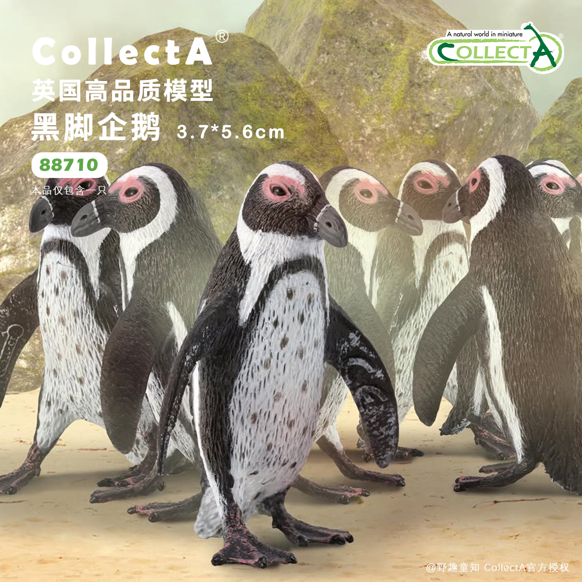 CollectA黑脚企鹅动物模型玩具