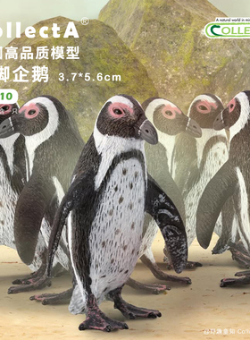 【88710黑脚企鹅】CollectA官方授权正版动物模型早教玩具