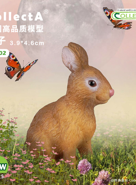 【88002白兔】CollectA官方授权正版动物模型早教玩具