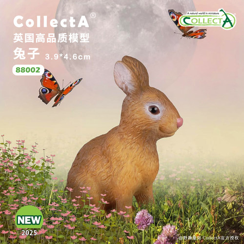 CollectA白兔动物模型玩具