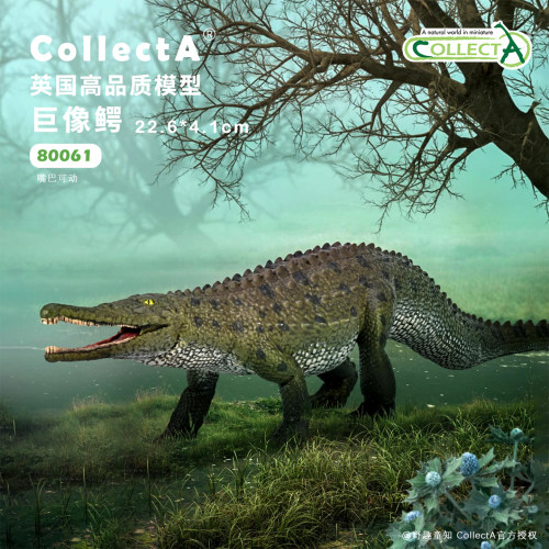 【顺丰包邮】80061理工巨像鳄 COLLECTA英国我你他史前动物模型