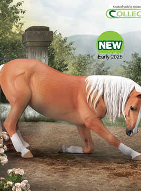 【80042卢西塔诺母马】2025CollectA仿真动物模型玩具马玩具