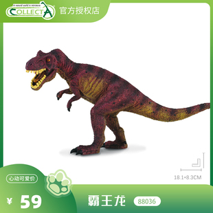 【88036暴龙】CollectA动物模型儿童仿真玩具早教套装宝宝认知