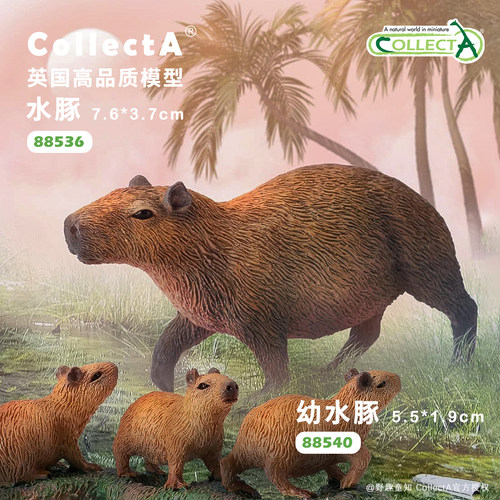 CollectA水豚动物模型玩具