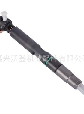 28337917 400903-00074C 400903-00074 共轨喷油器 用于山猫