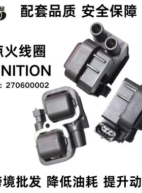 船机摩托艇Sea-D00点火线圈3D RFI,GSX RFI 1995-200配件