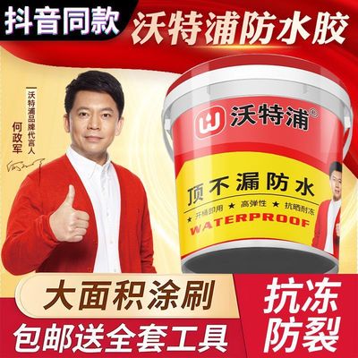 沃特浦防水胶屋顶防水补漏材料楼顶房顶裂缝渗水防漏水涂料