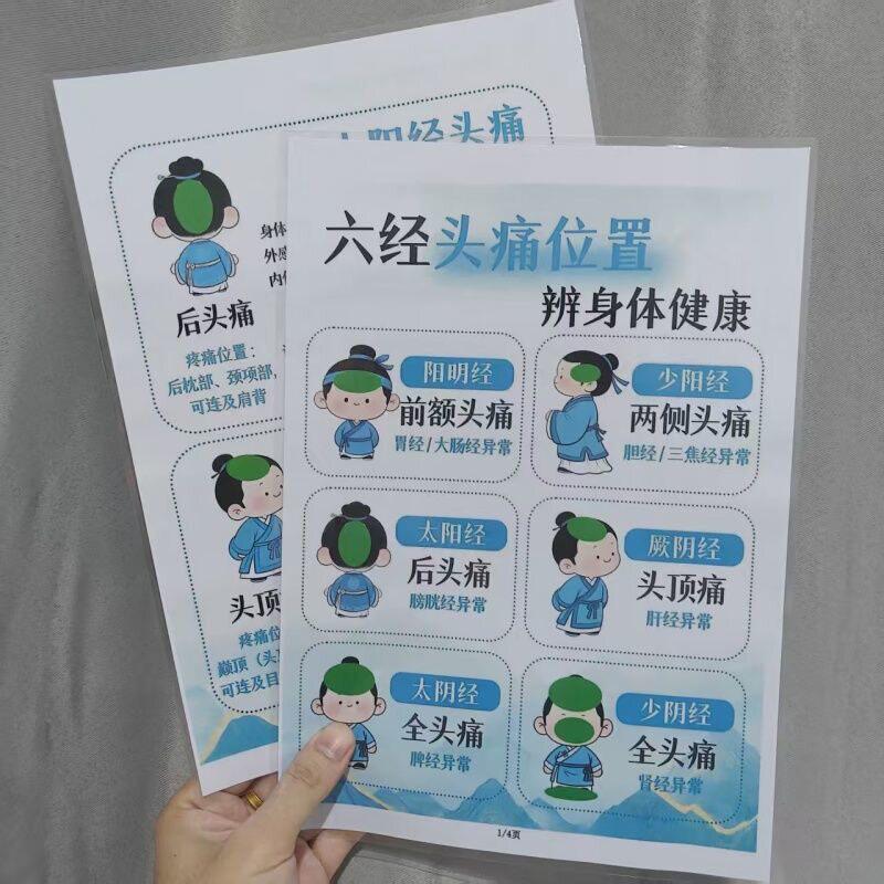 六经头痛位置辨身体健康中医调理思路身体问题头痛根源挂图认知卡