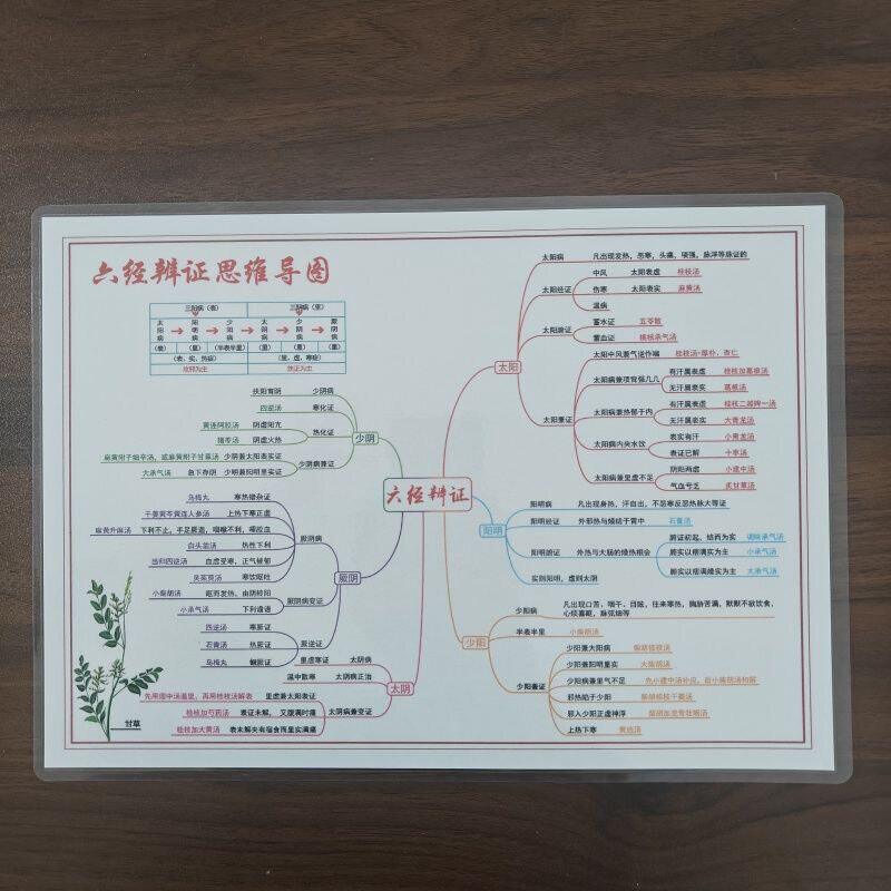 中医八纲辨证六经辨证思维导图五输穴文字版塑封防水挂图认知卡
