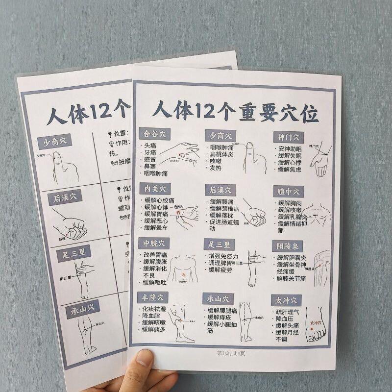 人体12个重要穴位参照表十二经脉循对照表穴位养生塑封挂图认知卡
