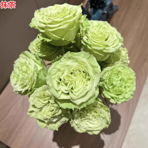超新品抹茶灌木切花月季玫瑰y花苗庭院阳台盆栽四季开花带花苞
